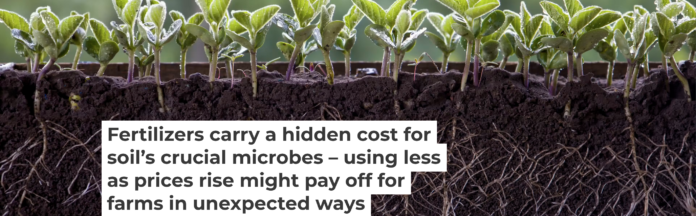 The activity of tiny microbes in and around the roots of crops such as soybeans are valuable for their growth. Oleh Malshakov/iStock/Getty Images Plus